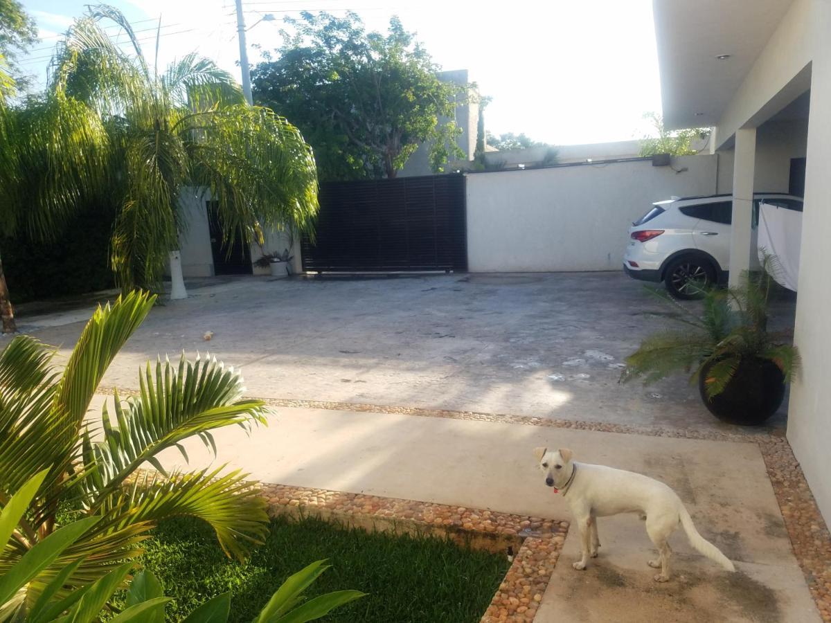 Casa Xcanatun Mérida Exterior foto